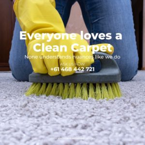 Steam Carpet Cleaner, carpet stain remover 