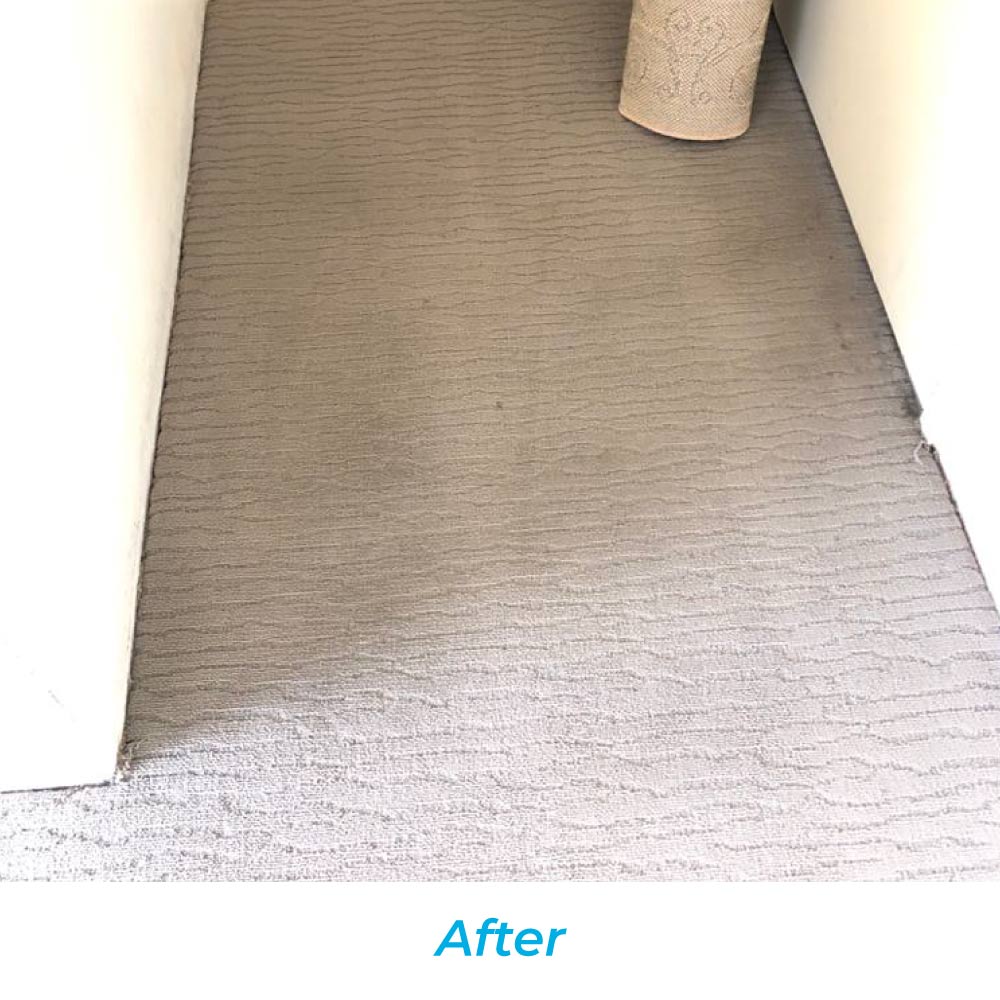 Carpet Cleaning Services in Sydney
