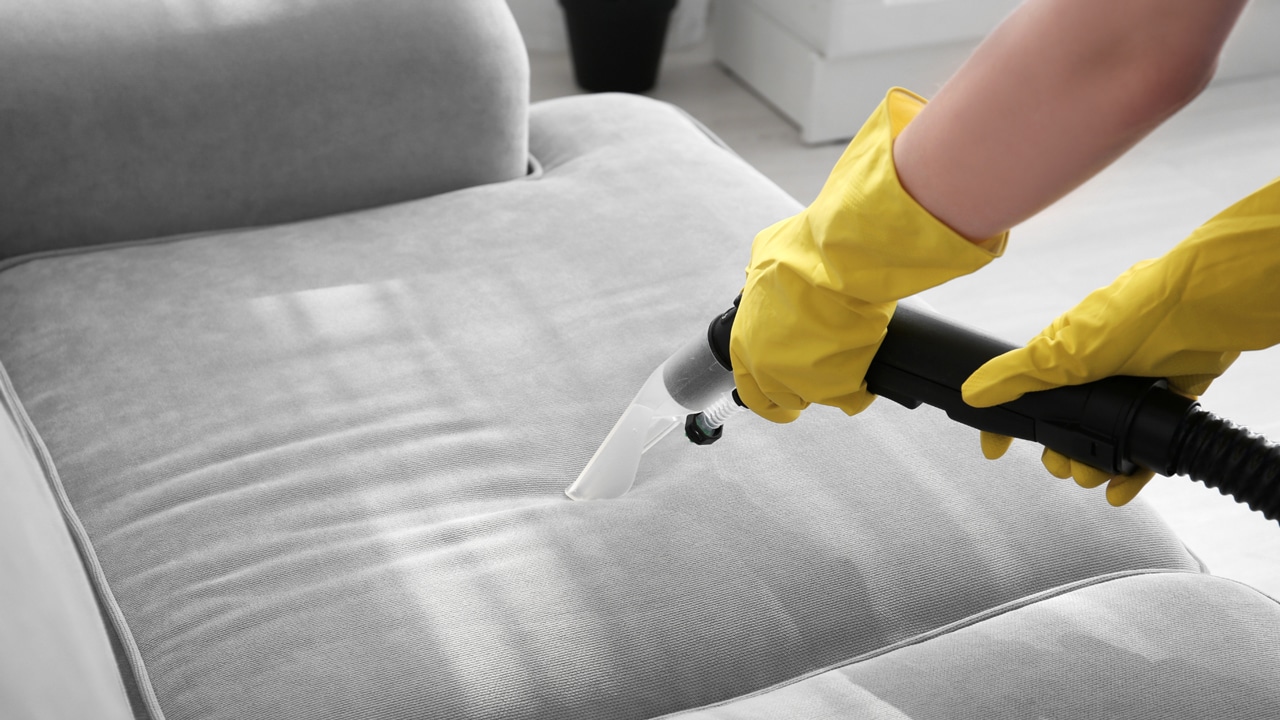 Couch cleaner